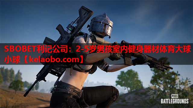 SBOBET利记公司：2-5岁男孩室内健身器材体育大球小球