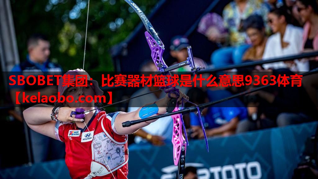 SBOBET集团：比赛器材篮球是什么意思9363体育