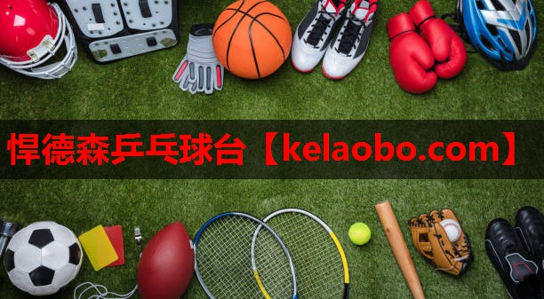 悍德森乒乓球台 悍德森乒乓球台