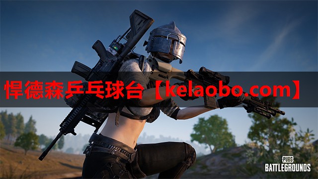 悍德森乒乓球台 悍德森乒乓球台