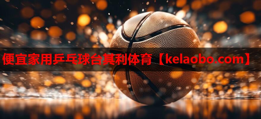 便宜家用乒乓球台其利体育